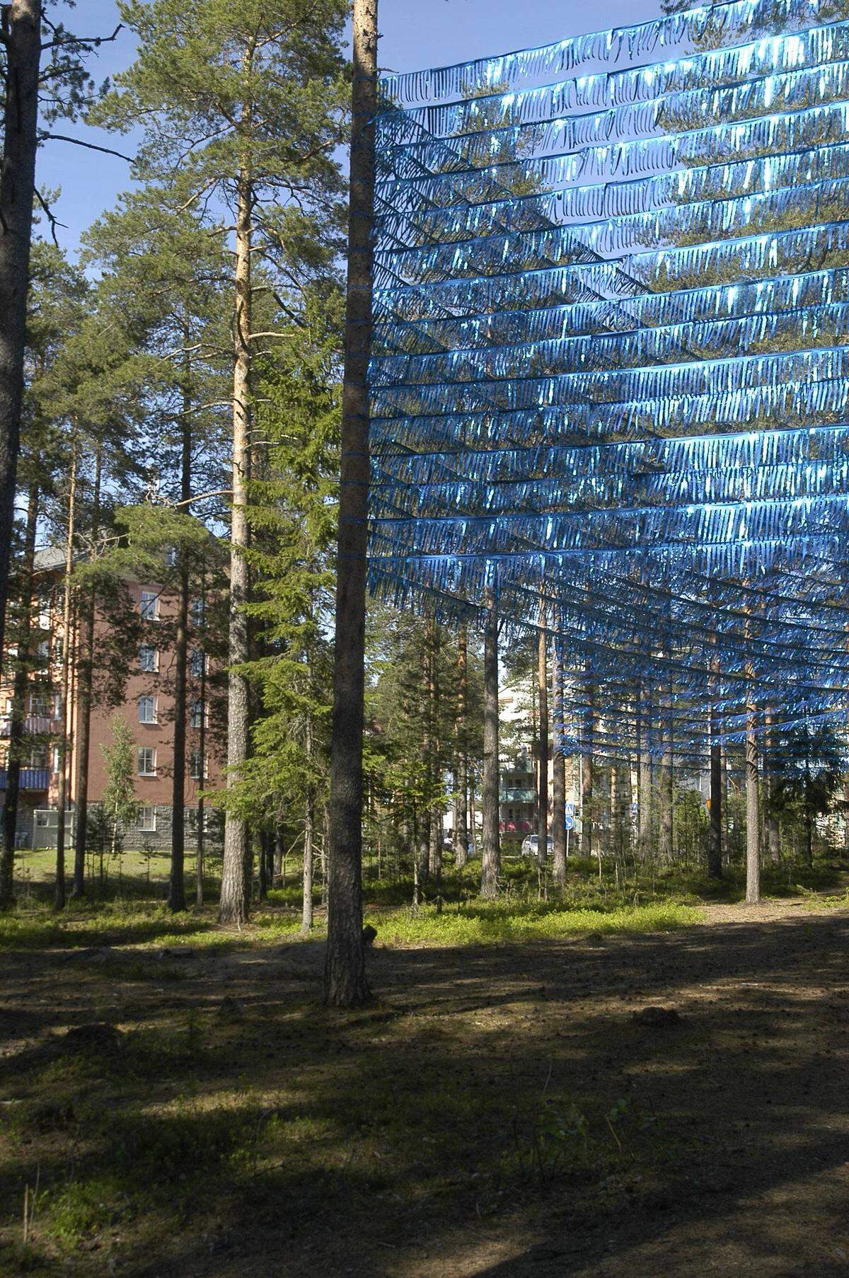 In Schweden nennt man Umeå "Stadt der Birken", denn die Stadt brannte 1888 ab, 3000 Einwohner wurden obdachlos. Damals wurden mit 3000 Birken Alleen angelegt, um eine Ausbreitung von Bränden zu erschweren. Seit zwanzig Jahren gibt es auch den Skulpturenpark Umedalen, wo diese Installation aus blauen Bändern zu sehen ist.