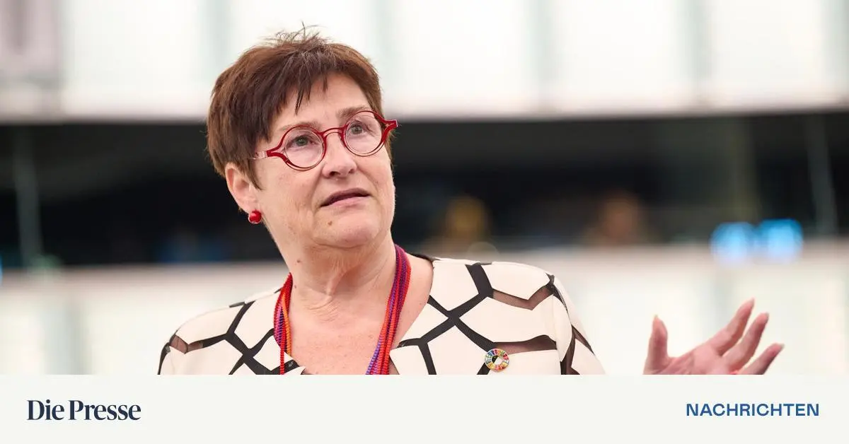 SP-Abgeordnete-Petra-Bayr-zur-Europaratsversammlung-Vorsitzenden-gew-hlt