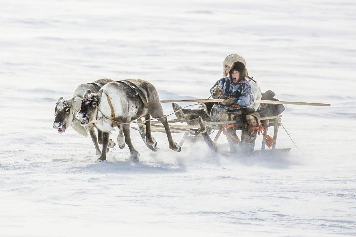 Der Reisejournalist und Fotograf Vladimir Alekseev hat dieses Bild auf der Jamal-Halbinsel in Nordwest-Sibirien aufgenommen. Es zeigt Kinder der indigenen Bevölkerung, die schon in jungen Jahren lernen, mit einem speziellen Rentierschlitten namens Narta zu fahren.