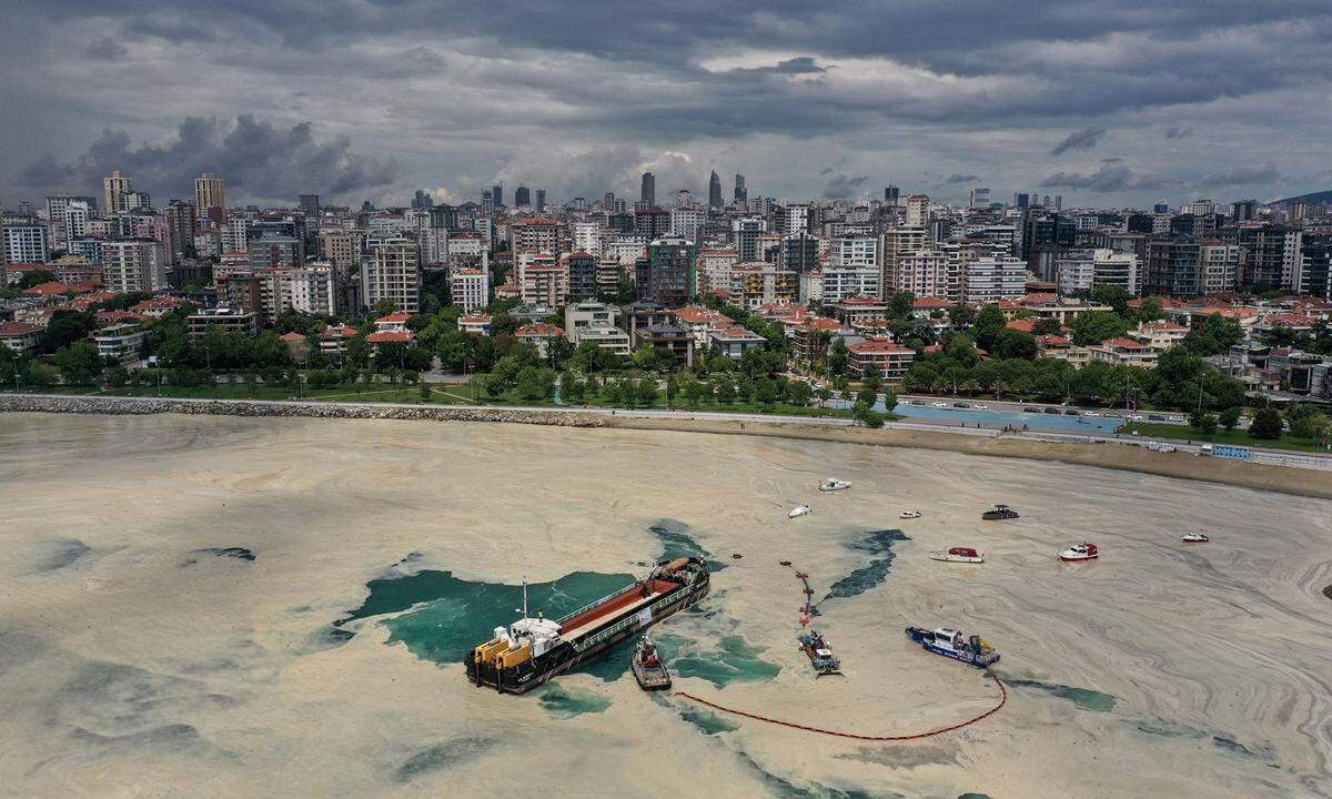 18. Mai. "Meeresrotz" oder "Meeresschleim" wird die durch Algen ausgelöste Plage genannt, die das türkische Marmarameer vor der Millionenmetropole Istanbul befallen hat. Der Schleim ist Ausscheidungsprodukt mancher Algen, er wird durch unbehandeltes Abwasser und höhere Temperaturen begünstigt. Durch den Schleim fällt nicht nur das Baden aus. Fischer können ihre Netze nicht auswerfen und Organismen - vor allem am Meeresboden - sowie Korallen sind bedroht.