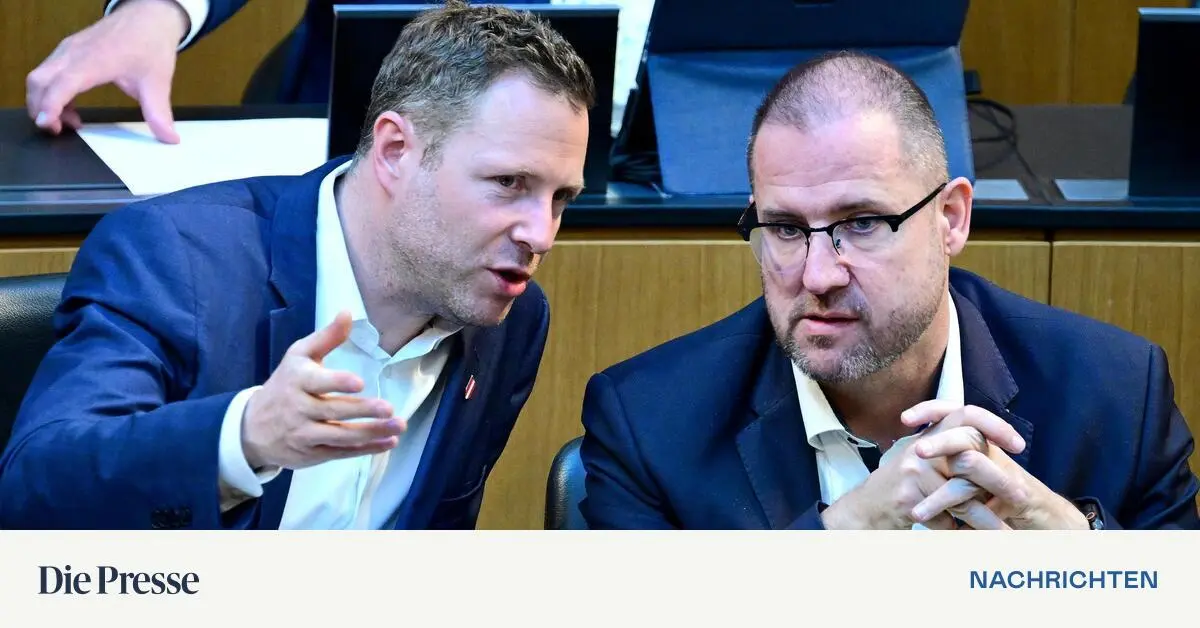 NGO-F-rderungen-FP-ortet-einmal-mehr-Missst-nde