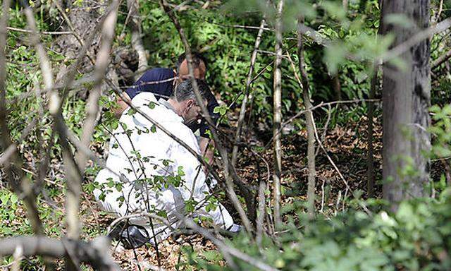 Die Leiche des Mannes wurde im Wienerwald bei Gablitz gefunden