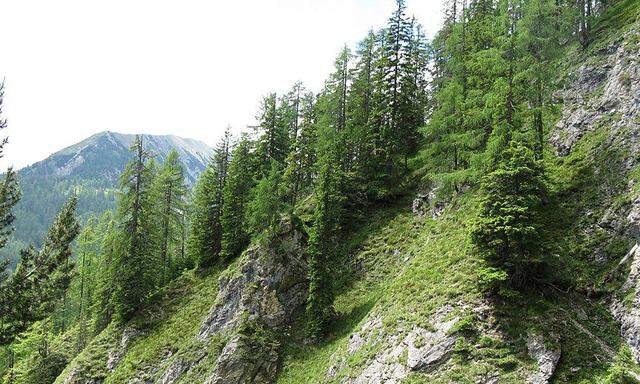 Deutsche mit Halbschuhen in Tirol aus Bergnot gerettet 