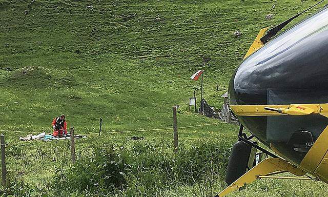 Archivbild: In Tirol kam es im Juni zu einem tödlichen Unfall, als eine Frau mit Hund eine Weide querte. 