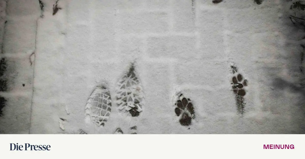 Und-die-Zunge-klebt-am-Lampenmast-fest-premium-