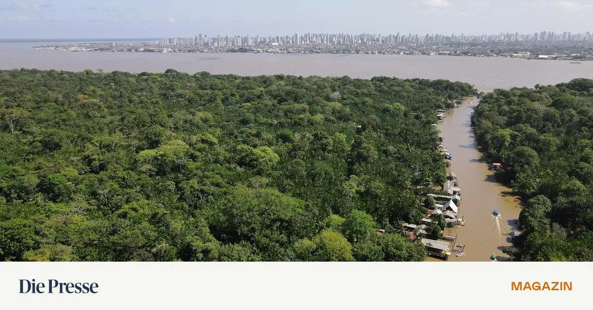 Was-bleibt-von-der-Party-in-Paris-F-nf-Wege-wie-die-Klimakonferenz-in-Brasilien-trotz-allem-ein-Erfolg-wird-premium-