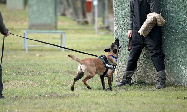 Anwalt wirft Totalversagen des Sicherheitssystems der Kaserne vor
