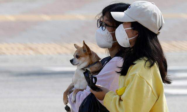 In Südkorea ist die Zahl der Infektionen mit dem Coronavirus auf mehr als 7100 gestiegen.