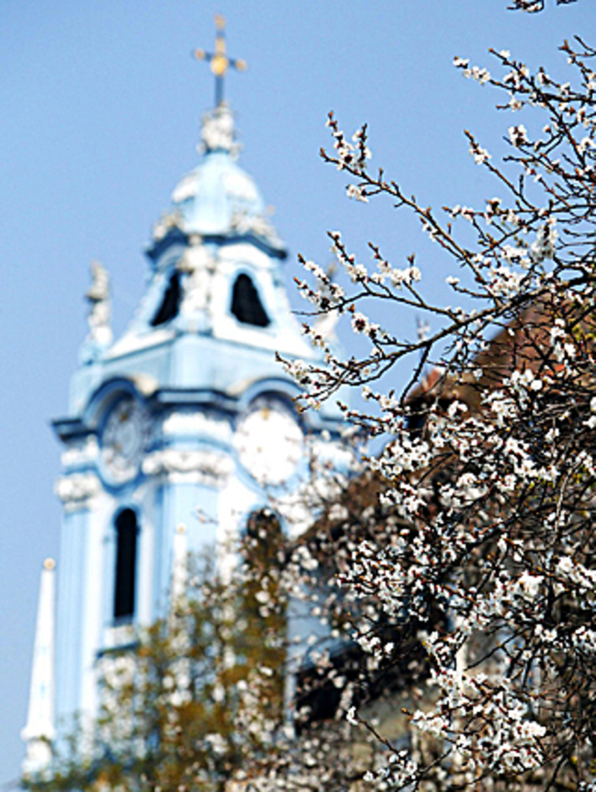 "Spring is here, the sky is blue, whoa-oh-oh, birds all sing as if they knew today's the day we'll say "I do", and we'll never be lonely anymore because: We're goin' to the chapel and we're gonna get ma-a-arried" Hörprobe