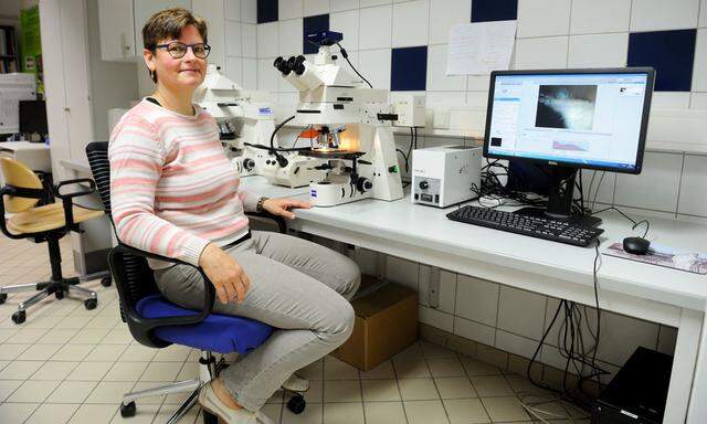 Ein Museumsbesuch, ganz ohne Kunst zu besichtigen: zu Gast bei Martina Griesser im Naturwissenschaftlichen Labor. 