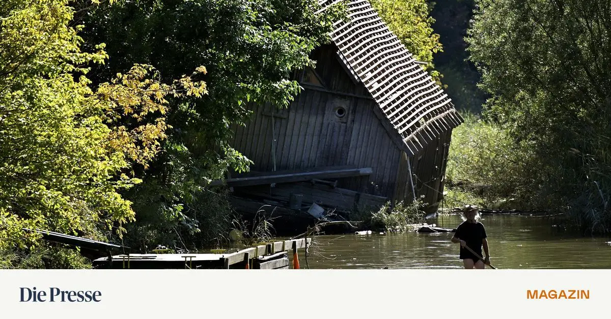 60-Ma-nahmen-sollen-die-Lebensr-ume-an-der-Donau-retten-premium-