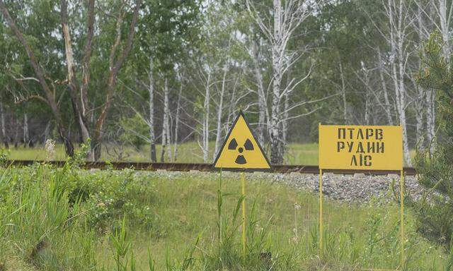 warning sign to radioactivity, view to Red Forest (is the 10-square-kilometer (4 sq mi) area surrounding the Chernobyl