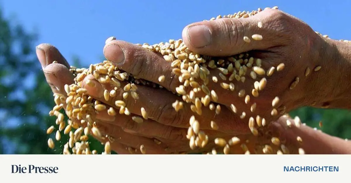 Bomben-auf-die-Weltern-hrung-premium-