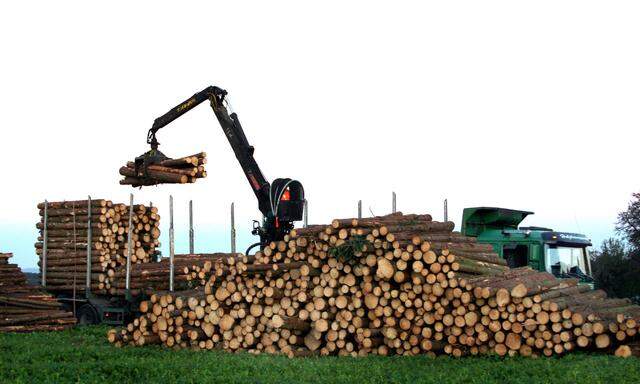 Die Holzindustrie gilt als großer Profiteur des Klimawandels. 