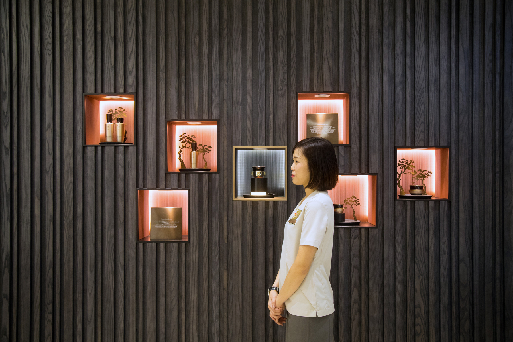 Haut von Leichen gegen Falten: Neuer Beauty-Trend boomt in Südkorea [premium]