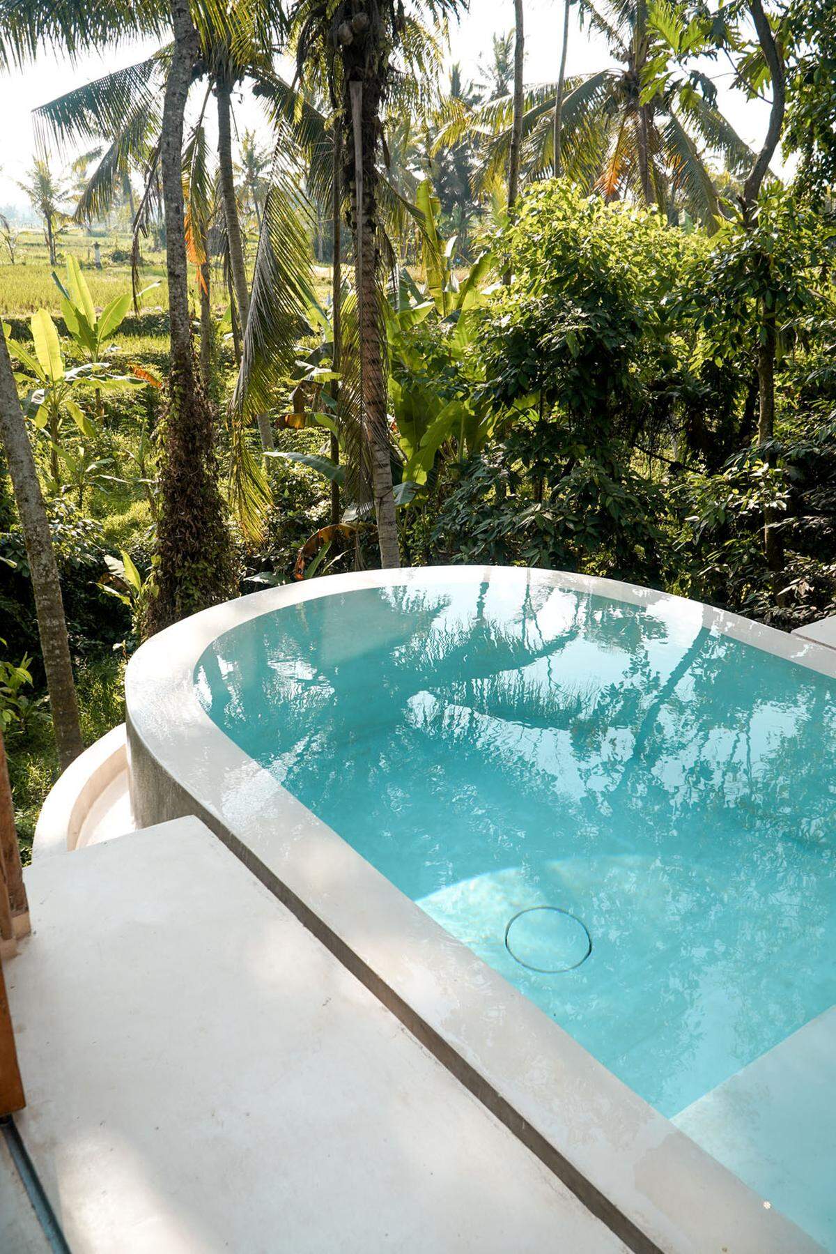 Das Pelangi Skai Joglo Baumhaus im Ubud-Dschungel auf Bali gibt den Blick auf Reisfelder frei und kann auch mit einem Pool hoch oben zwischen den Bäumen aufwarten.