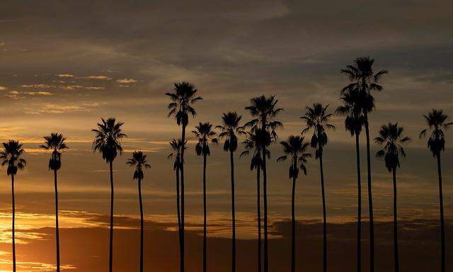 Palm trees are silhouetted at sunset during the outbreak of the coronavirus disease (COVID-19), in Los Angeles