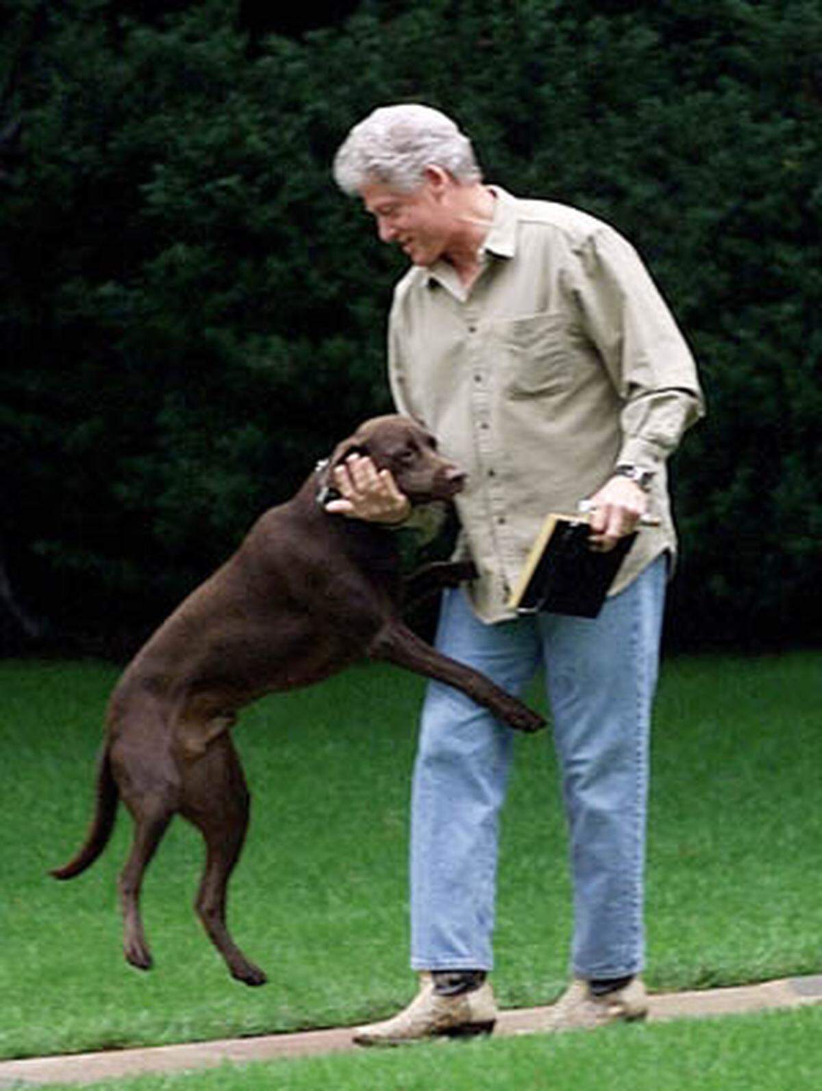 Bill Clinton hatte den schokoladenbraunen Labrador Buddy - und den weißpfötigen Kater Socks. Letzterer wurde nach dem Auszug aus dem Weißen Haus aber zu einer von Clintons Sekretärinnen abgeschoben, bevor er im Februar 2009 verstarb.