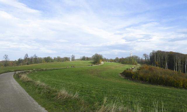 Blick kurz nach der Franz-Karl-Fernsicht in Richtung des Ziels: Für jene, die Bergigeres gewohnt sind, ist das freilich keine Alpe.