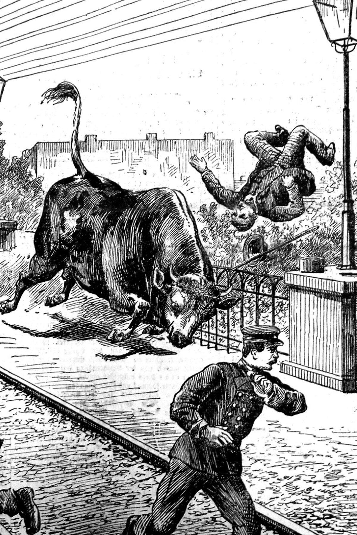 Gefahr drohte auch durch Vieh, das oftmals unter chaotischen Umständen zur Schlachthalle in Sankt Marx getrieben wurde. Dieses Titelblatt zeigt, wie ein Eisenbahnarbeiter auf der Brücke der Bahnstation Hetzendorf am 26. September 1890 von einem Stier von der Brücke geschleudert wurde. Der Mann überlebte den Angriff nicht.