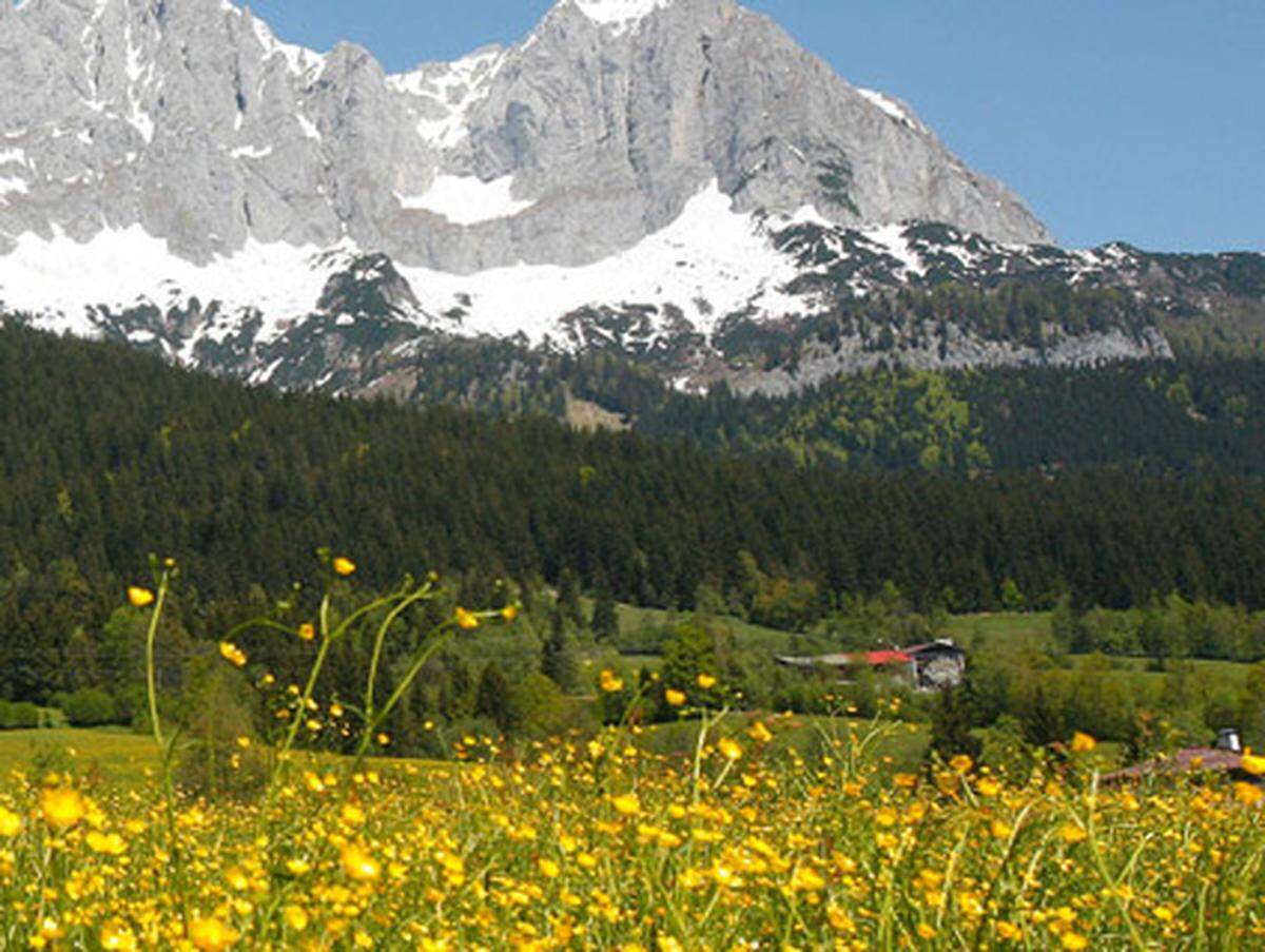 Die Waldpflegeverband Tirol erhielt mit 2,85 Millionen Euro um 1,15 Millionen mehr als vor einem Jahr.