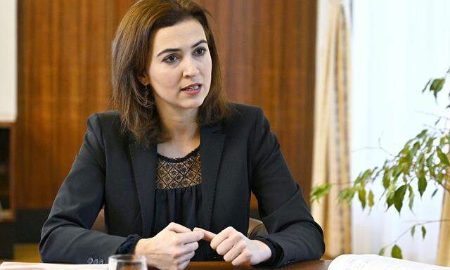 "Ohne ausreichende Mittel sind rasche und qualitätsvolle Verfahren nicht möglich",  Alma Zadić, Justizministerin