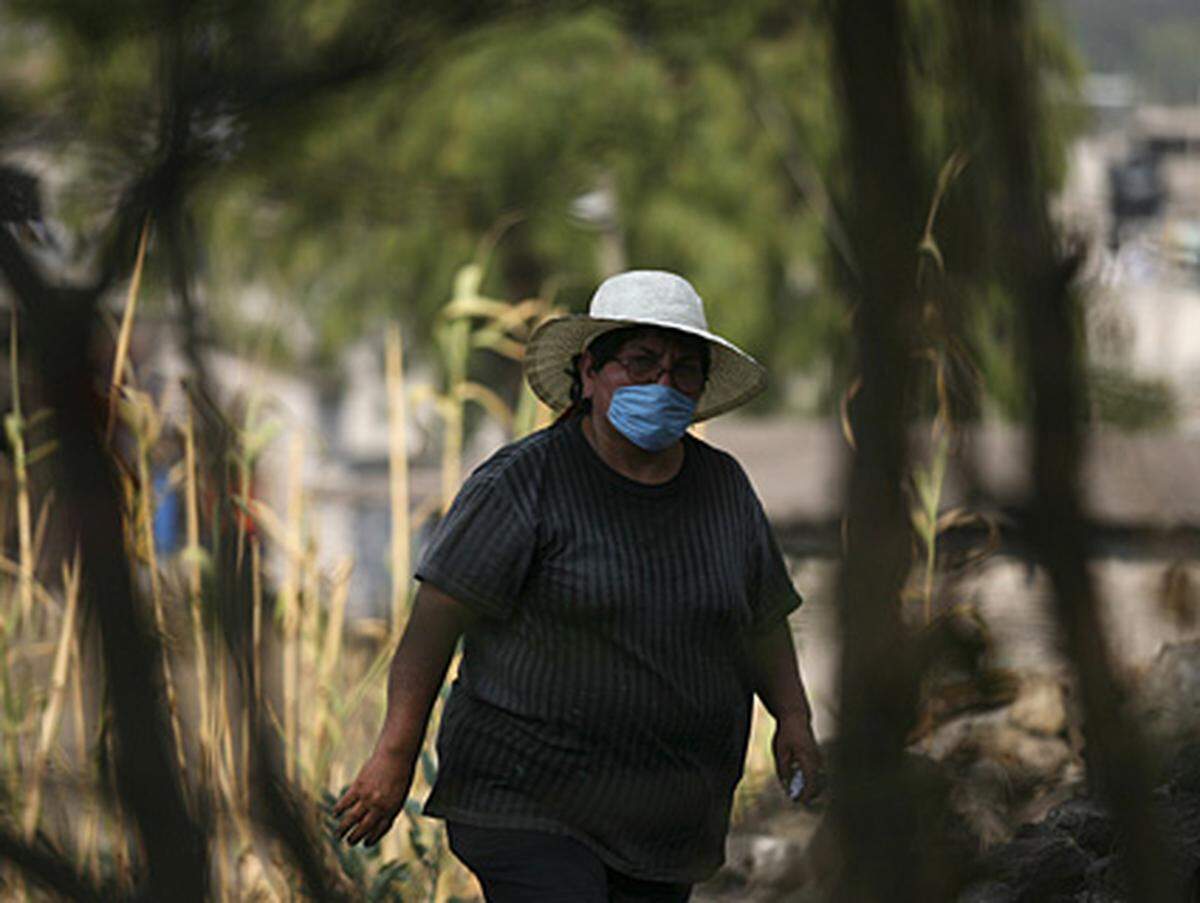 17 von den 32 Staaten Mexikos hatten am Samstagabend bereits Grippefälle gemeldet. Es gibt Kranke im Norden, an der US-Grenze, über die das Virus womöglich ins Land gekommen sein könnte, so lautet eine in Mexikos Medien verbreitete Theorie.