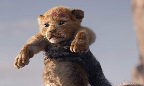 Filmstart: 18. Juli 2019 Der "Lion King" kehrt zurück - aber nicht mehr in Zeichentrick, sondern als Mischung zwischen Realfilm und Computeranimation. Was gleich bleibt: die mitreißende Musik von Elton John und Hans Zimmer. Die Erwartungen sind doch, denn der originale "König der Löwen" ist mit einem Einspielergebnis von beinahe 970 Millionen US-Dollar einer der erfolgreichsten Zeichentrickfilme der Filmgeschichte. Regie führte Jon Favreau, der schon die "Iron Man"-Reihe sowie das "Dschungelbuch" von 2016 inszeniert hat.