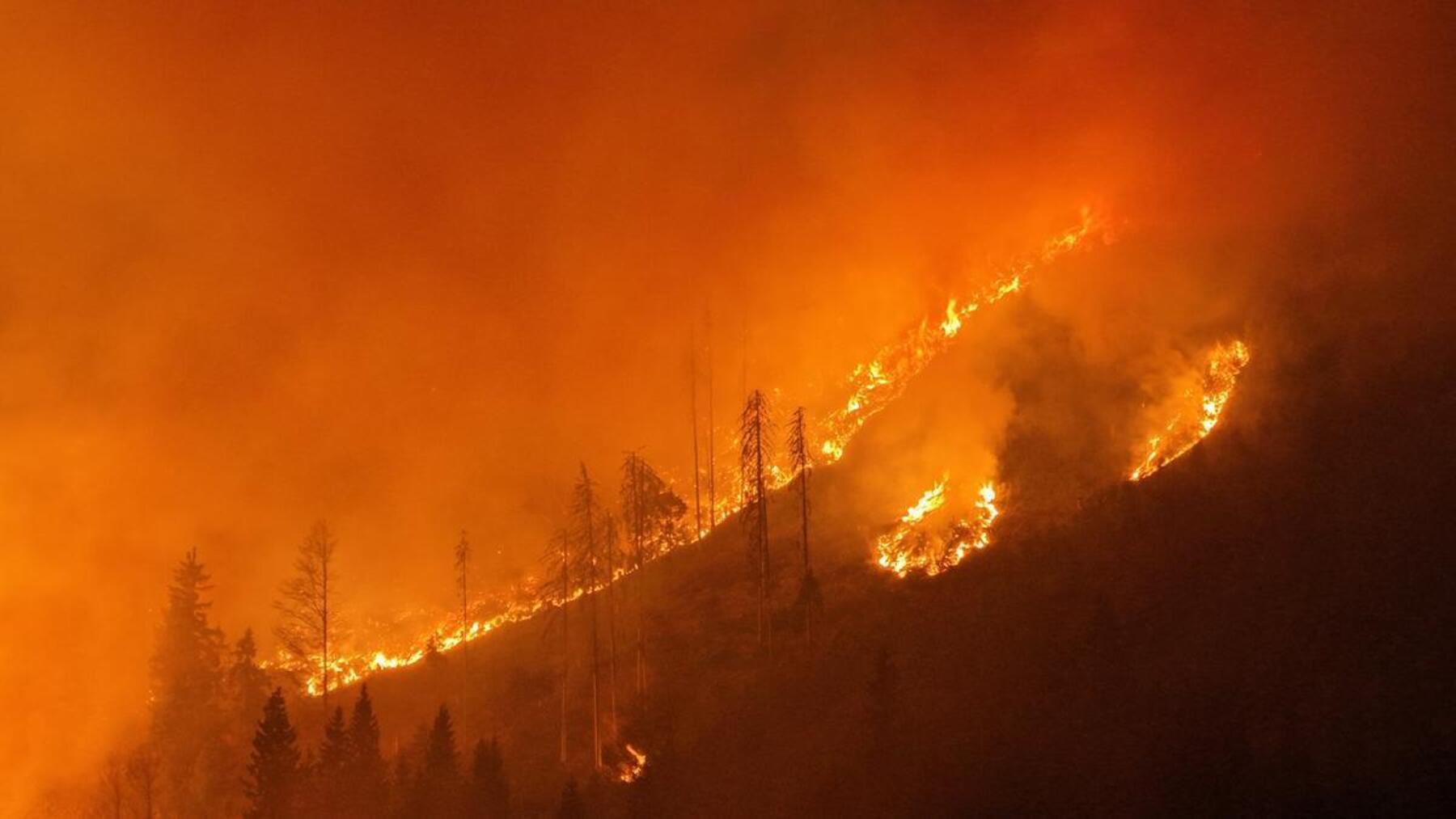Zwölf Feuerwehren kämpfen im Lesachtal gegen Waldbrand