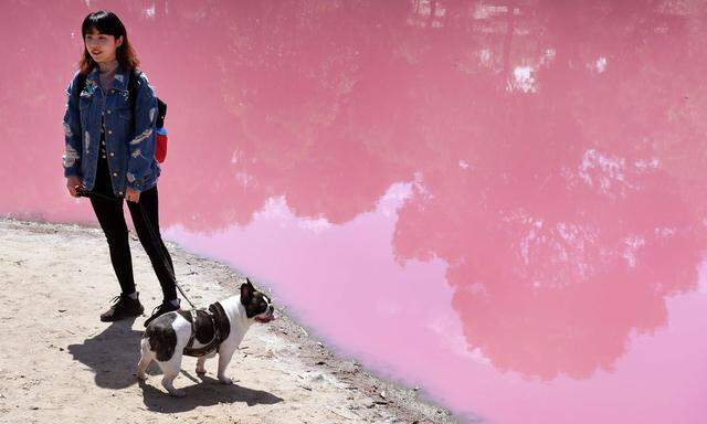 Der See in Melbourne färbt sich auf natürliche Weise pink. Doch nur für kurze Zeit. 