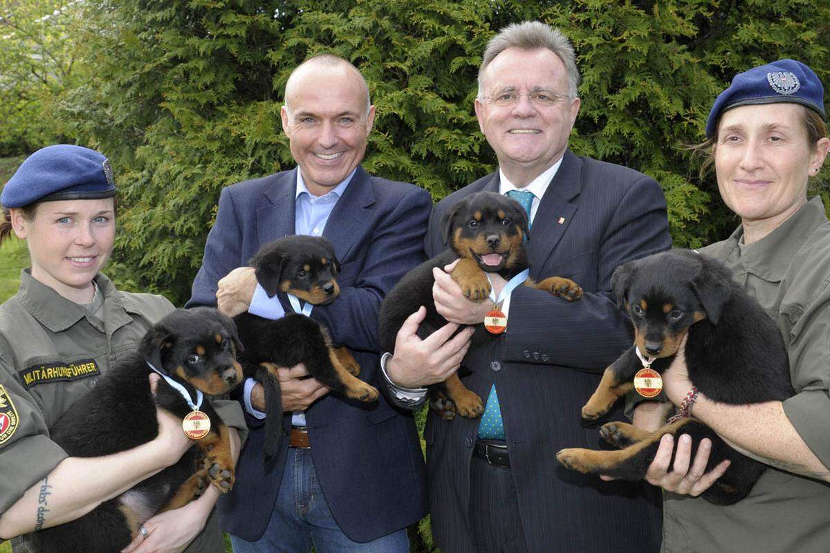 Neben Babys gehören Tiere zu den beliebtesten "Accessoires" von Politikern, sobald die Kameras laufen. Jüngstes Beispiel: Verteidigungsminister Gerald Klug übernimmt die Patenschaft von „Tango“, Burgenlands Landeshauptmann Heinz Niessl jene von „Turbo“ - beides Rotweilerwelpen, die gemeinsam mit ihren Geschwistern Tess, Toska, Traute, Tomba, und Titus ab sofort im Dienst des Bundesheeres stehen. Im Militärhundezentrum Kaisersteinbruch erhielten sie mit der „Hundetaufe“ eine Dienstmarke.