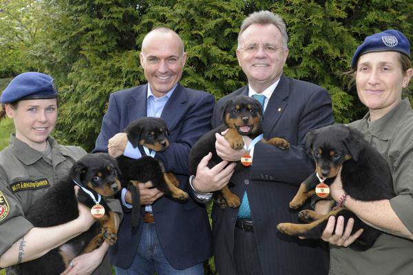 Neben Babys gehören Tiere zu den beliebtesten "Accessoires" von Politikern, sobald die Kameras laufen. Jüngstes Beispiel: Verteidigungsminister Gerald Klug übernimmt die Patenschaft von „Tango“, Burgenlands Landeshauptmann Heinz Niessl jene von „Turbo“ - beides Rotweilerwelpen, die gemeinsam mit ihren Geschwistern Tess, Toska, Traute, Tomba, und Titus ab sofort im Dienst des Bundesheeres stehen. Im Militärhundezentrum Kaisersteinbruch erhielten sie mit der „Hundetaufe“ eine Dienstmarke.