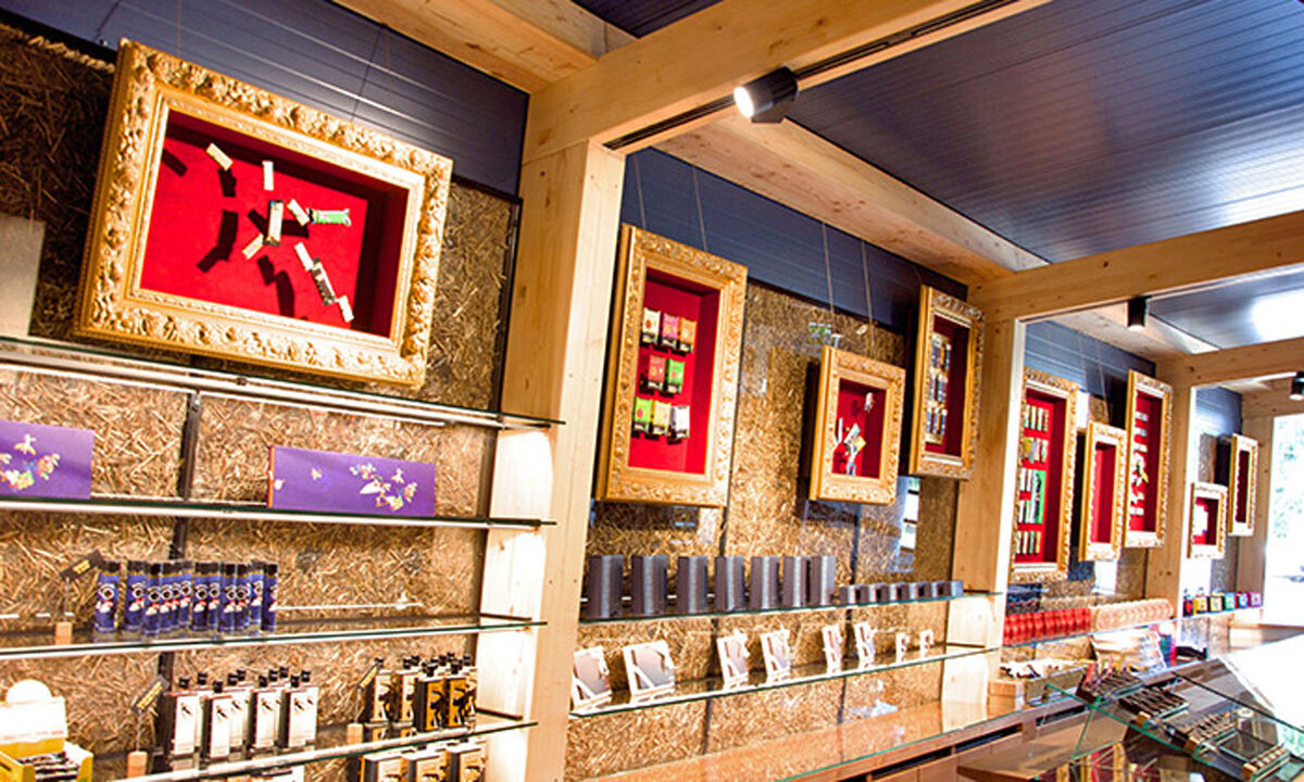 Der Schokoladen-Manufaktur Zotter gelang der größte Sprung nach vorne. Das von Josef Zotter gegründete Unternehmen konnten sich im Ranking um 72 Plätze gegenüber dem Vorjahr verbessern. Zotter steht für biologisch und fair produzierte Schokolade. (2017: Platz 86)