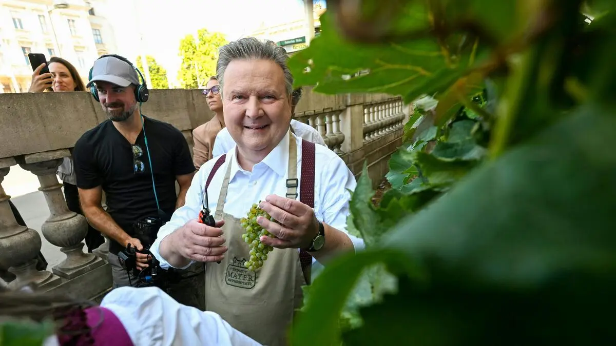 Muss die Stadt Wien wirklich ein Restaurant besitzen?