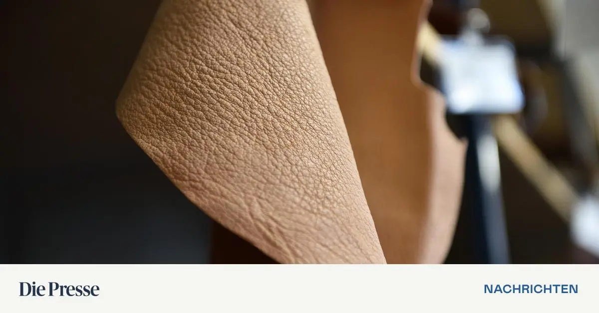 Leder-und-vernetzte-Proteine-premium-