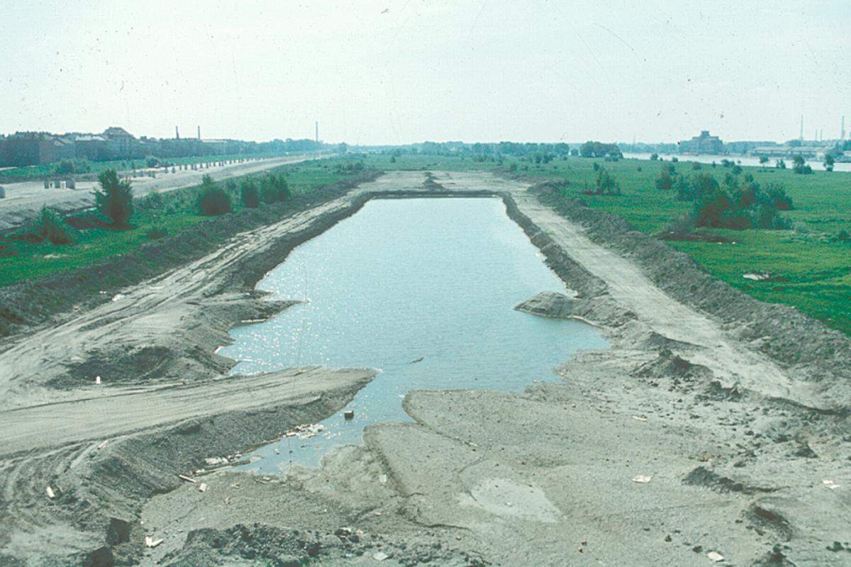 Als erstes Biotop auf der Insel wurde 1978 die Kreimellacke gestaltet. Als letztes entstand 1989/1990 das Tritonwasser. Mit circa zwei Hektar Wasserfläche ist es das größte künstliche Gewässer auf der Donauinsel. Dort muss die MA45 immer wieder Trampelpfade zupflanzen - die Fauna und Flora am Tritonwasser soll ungestört bleiben.  Bild aus dem Jahr 1980
