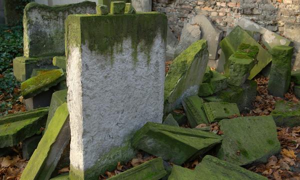 <strong>Von den unter der Erde Schlafenden </strong>weiß ich, dass sie mich in Ruhe lassen werden.