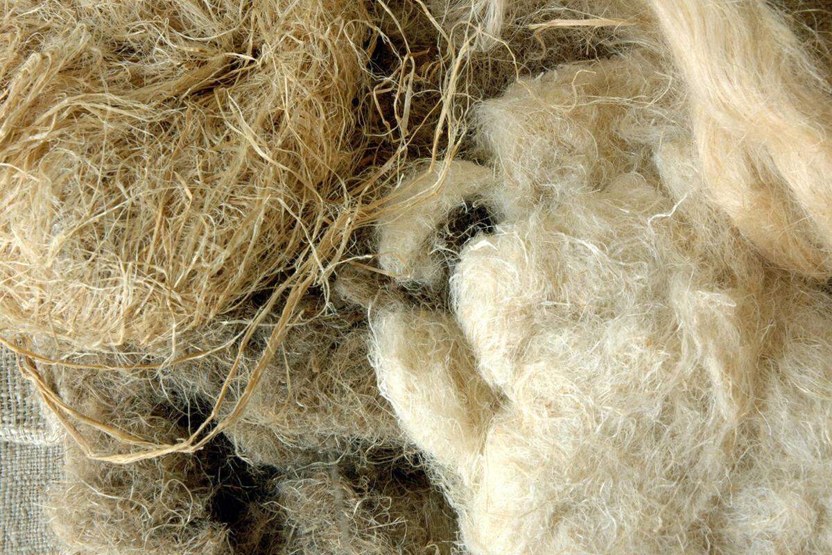 Hanf-Fasern sind längst am Markt etabliert. Sie werden aus den Stängeln der Pflanze gewonnen. Stoffe aus Hanf sind hautfreundlich und atmungsaktiv.