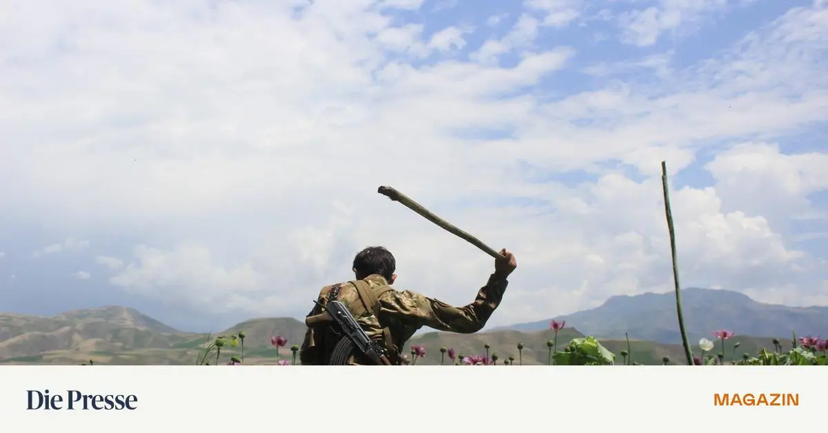 Krieg-gegen-Drogen-Ein-Krieg-gegen-das-Laster-premium-