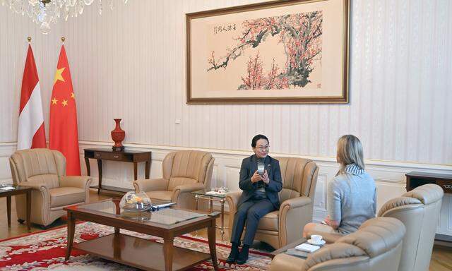Qi Mei ist seit März Chinas Botschafterin in Österreich. Erstmals gab sie der „Presse“ ein Interview.