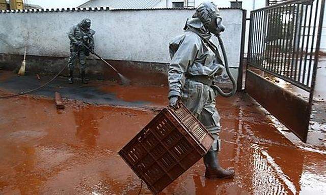 Rescue workers clear up toxic sludge in the flooded village of Devecser