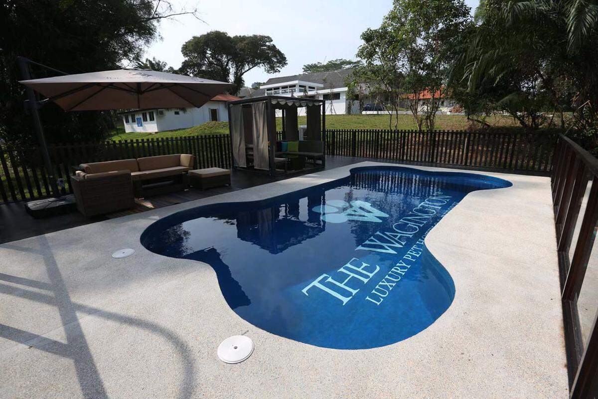 Und wie es sich für ein Fünf-Sterne-Hotel gehört, gibt es auch ein Pool. In Knochenform natürlich.