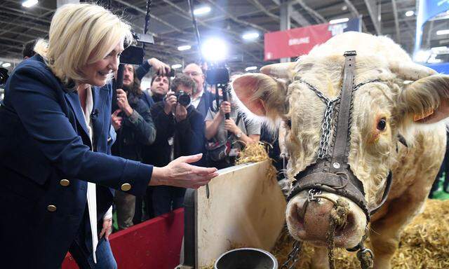 Le Pen besuchte im Wahlkampf vor allem die ländlichen Regionen Frankreichs.