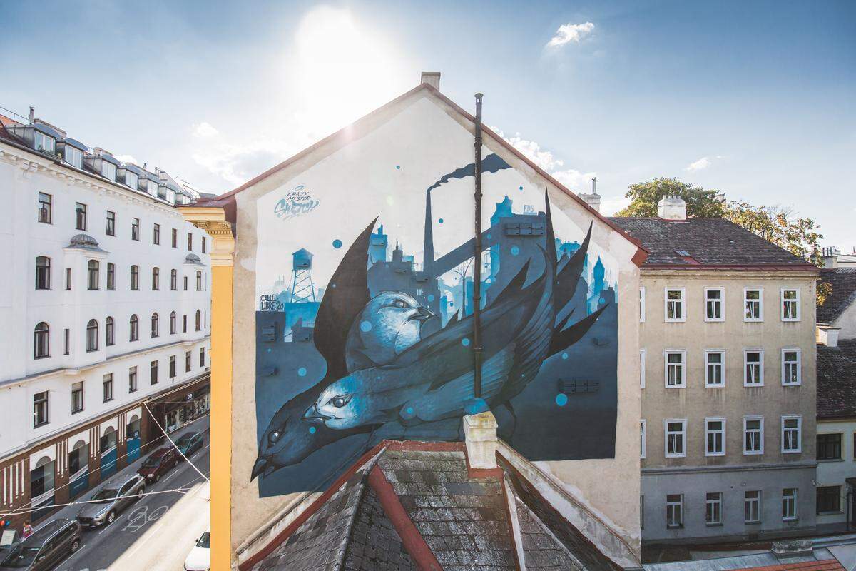 ... Mit seinem Mural in der Burggasse hat der Innsbrucker Künstler Platz für 25 Brutkästen für vom Aussterben bedrohte Mauersegler gestaltet. Sie sollen hier ihr neues Zuhause finden.