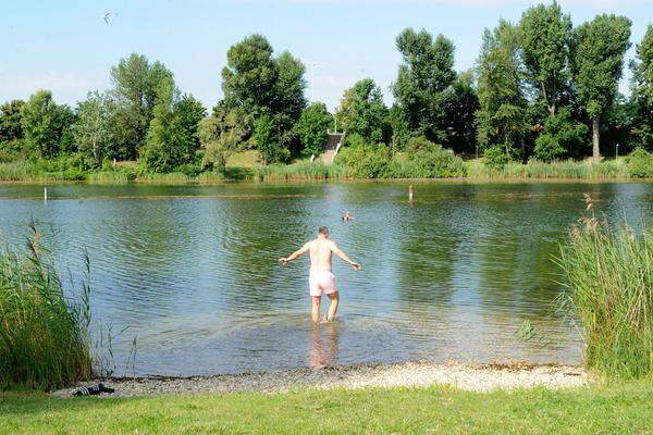 Oder der Baustellenlärm, den man beim Baden von der gegenüberliegenden Uferseite hört. Oder dass man von der Strombucht aus stellenweise auf die Lärmschutzwand am Kaisermühlendamm sieht.