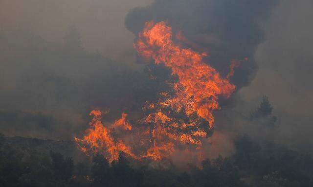 Ein großer Feuerball erhebt sich aus einem Waldbrand im Norden von Athen.