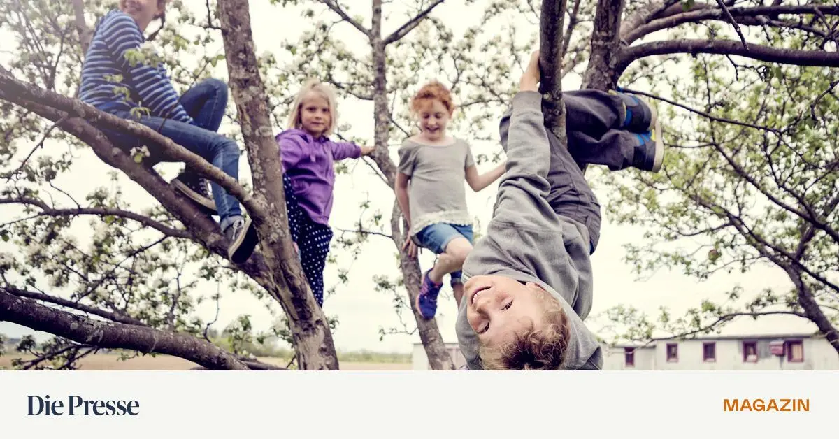 So-sorgt-man-mit-Aktien-f-r-Kinder-richtig-vor-premium-