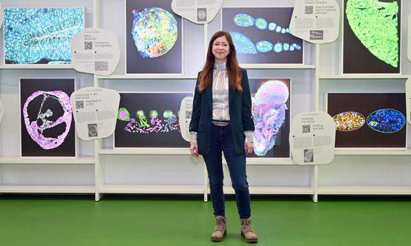 Menschen weltweit, die sich für Wissenschaft begeistern, inspirieren die gebürtige Oberösterreicherin Johanna Gassler.