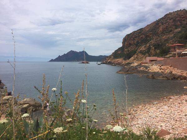 Noch ist Korsika ein fruchtbares Paradies. Möge es lange so bleiben!
