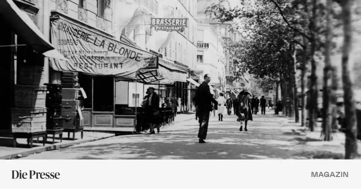 Der-Leichengeruch-nahm-immer-neue-Nuancen-an-premium-